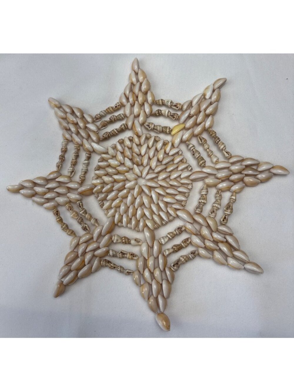 Handcrafted Six-Pointed Star Shell Trivet Coastal Beach Vibes